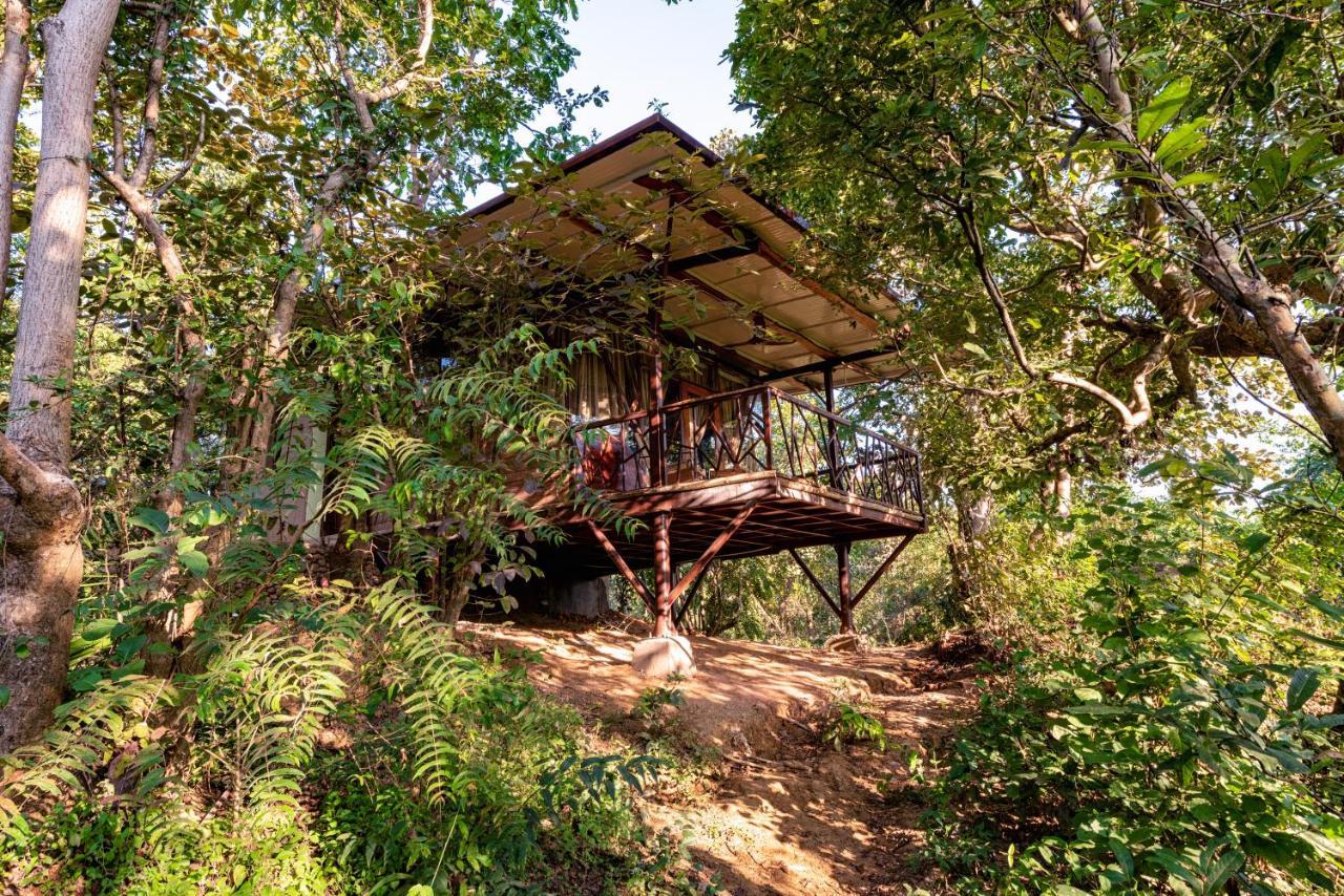 Kanha Jungle Camp Ngoại thất bức ảnh