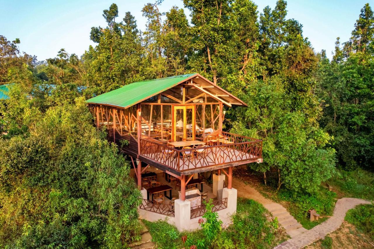 Kanha Jungle Camp Ngoại thất bức ảnh