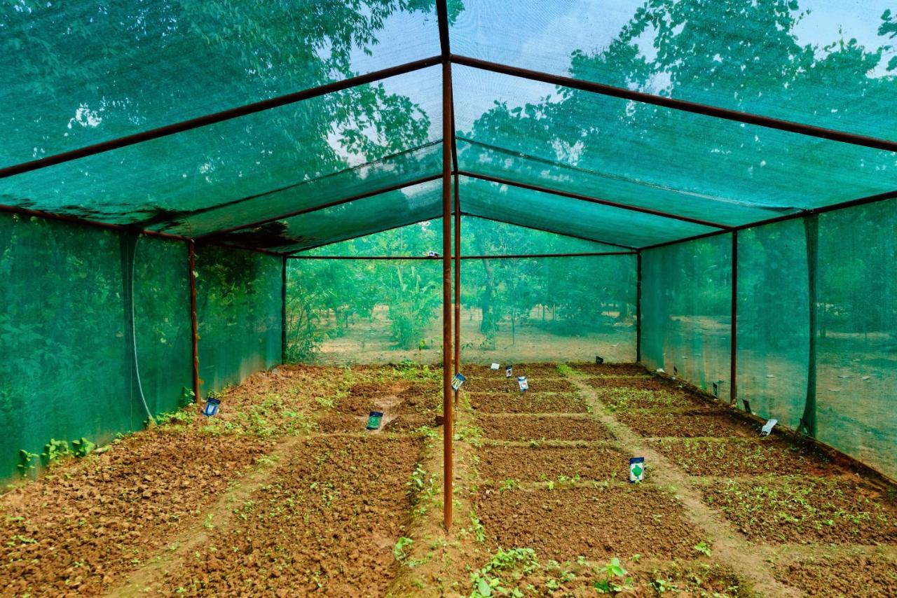 Kanha Jungle Camp Ngoại thất bức ảnh
