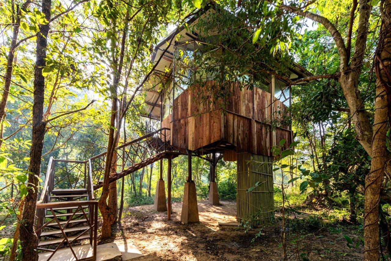 Kanha Jungle Camp Ngoại thất bức ảnh