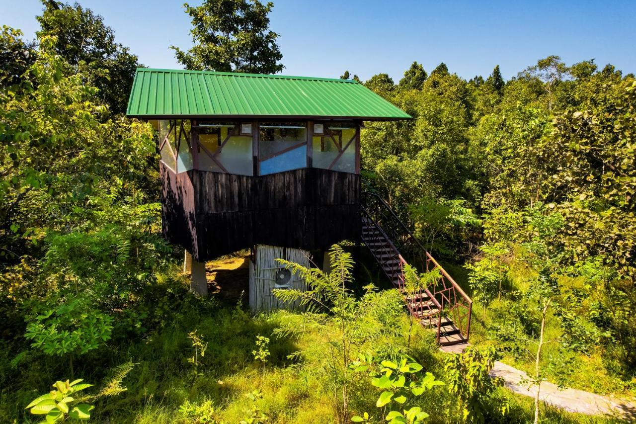 Kanha Jungle Camp Ngoại thất bức ảnh