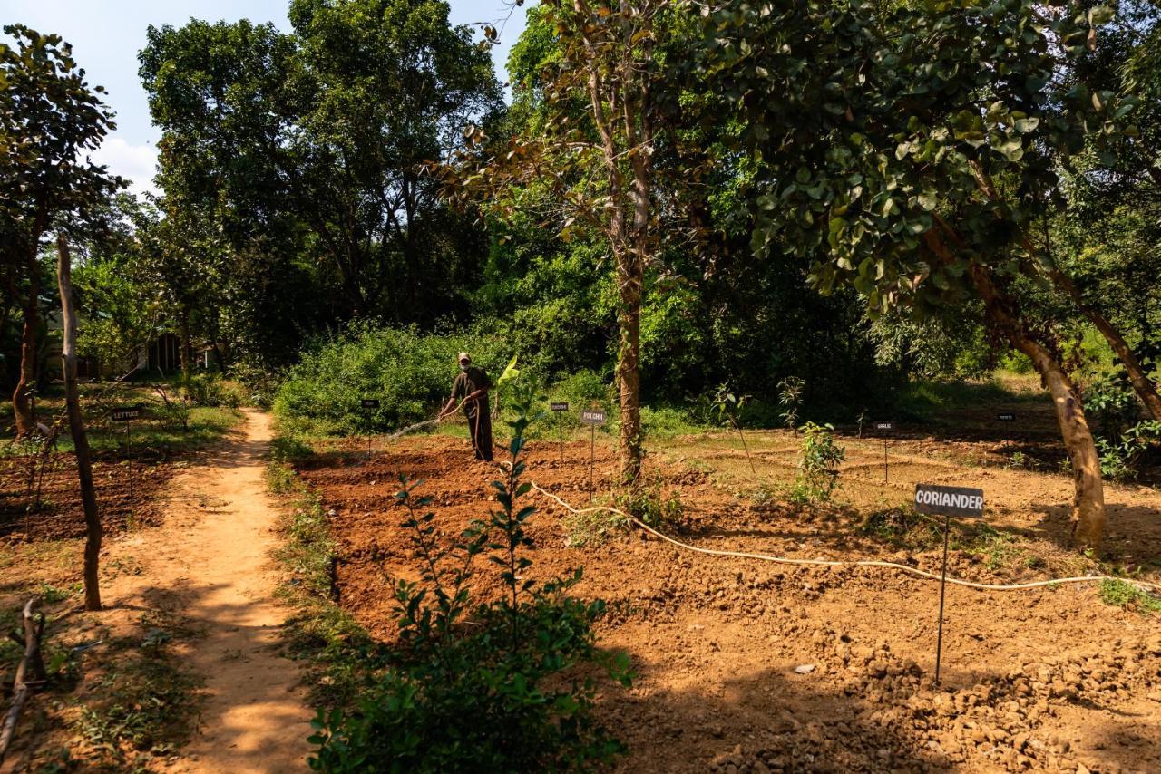 Kanha Jungle Camp Ngoại thất bức ảnh